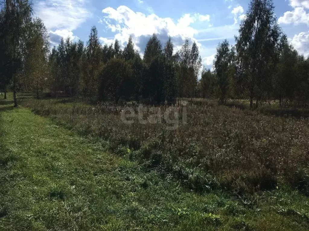 Участок в Ярославская область, Ярославский муниципальный округ, ... - Фото 1