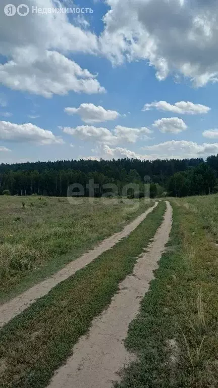 Участок в Иркутский муниципальный округ, поле Черепанова (22 м) - Фото 1