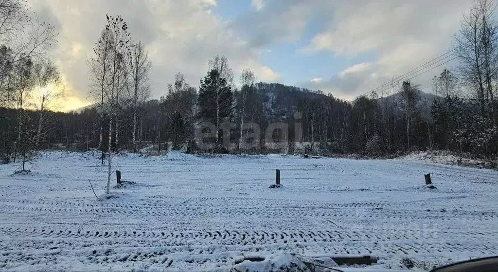Участок в Алтай, Майминский район, Соузгинское с/пос, пос. Черемшанка  ... - Фото 1