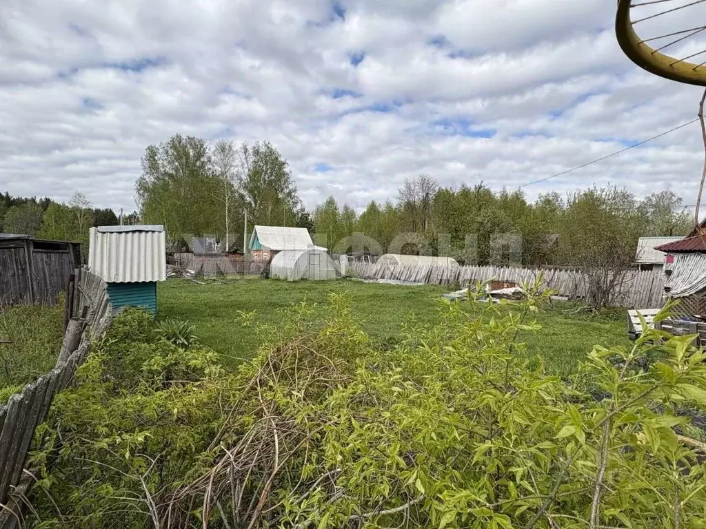 Дом в Новосибирская область, Новосибирск Любитель СНТ, туп. 2-й ... - Фото 2