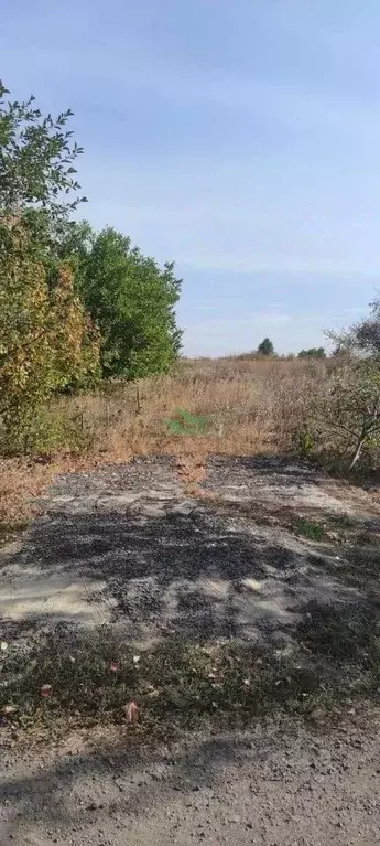 Участок в Белгородская область, Белгородский район, Разумное рп  (9.0 ... - Фото 2