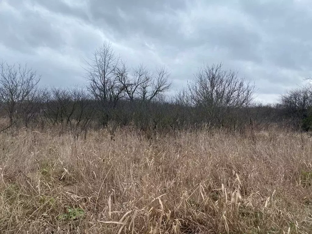 Участок в Ставропольский край, Ставрополь Дизель садовое товарищество, ... - Фото 1