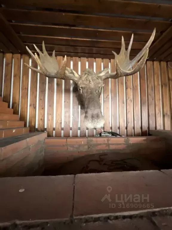 Помещение свободного назначения в Ярославская область, Ярославль ... - Фото 1