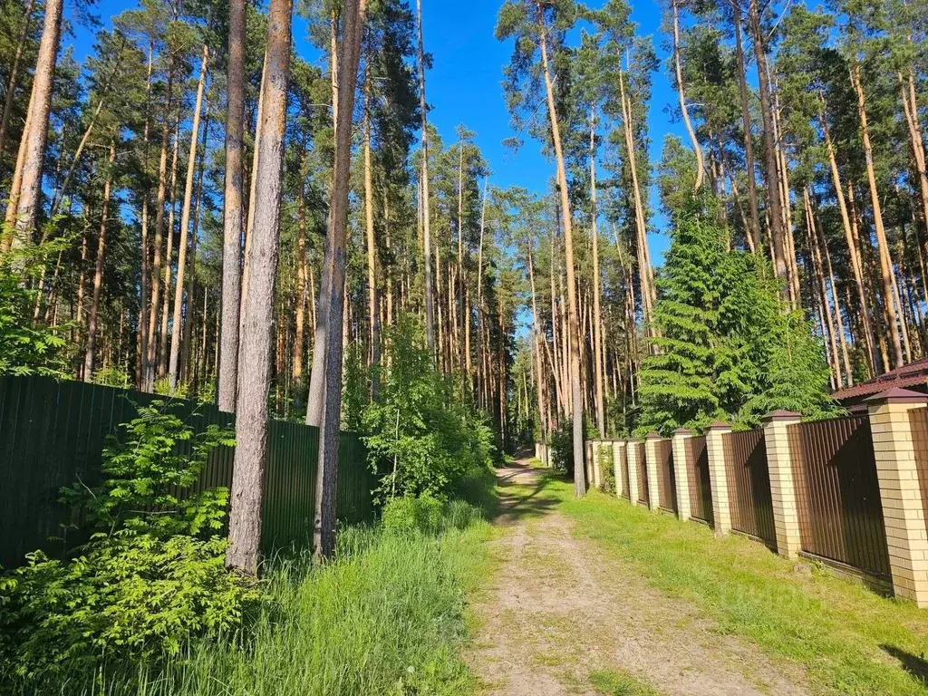 Участок в Нижегородская область, Городецкий муниципальный округ, ... - Фото 1