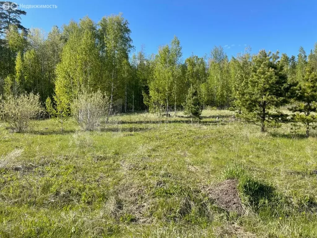 Участок в Тюменская область, Нижнетавдинский муниципальный округ, село ... - Фото 1