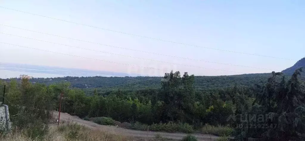 Участок в Крым, Алушта городской округ, с. Виноградное  (6.43 сот.) - Фото 1