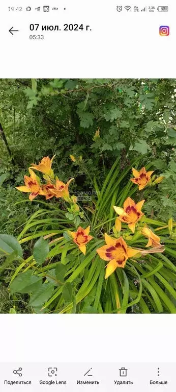 Дом в Энгельсский район, Красноярское муниципальное образование, СНТ ... - Фото 2