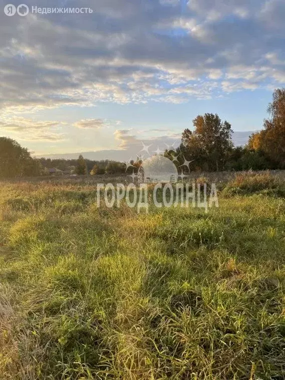 Участок в Омский район, Ачаирское сельское поселение, посёлок ... - Фото 1