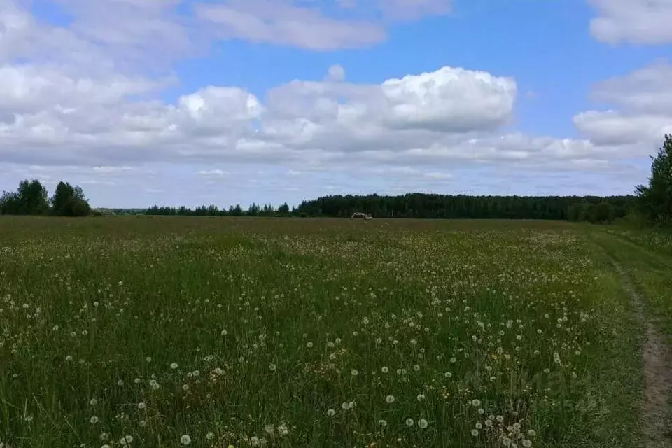 Участок в Ленинградская область, Колтуши Всеволожский район,  (226.0 ... - Фото 0