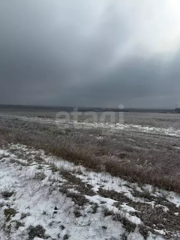 Участок в Ставропольский край, Минераловодский муниципальный округ, ... - Фото 1