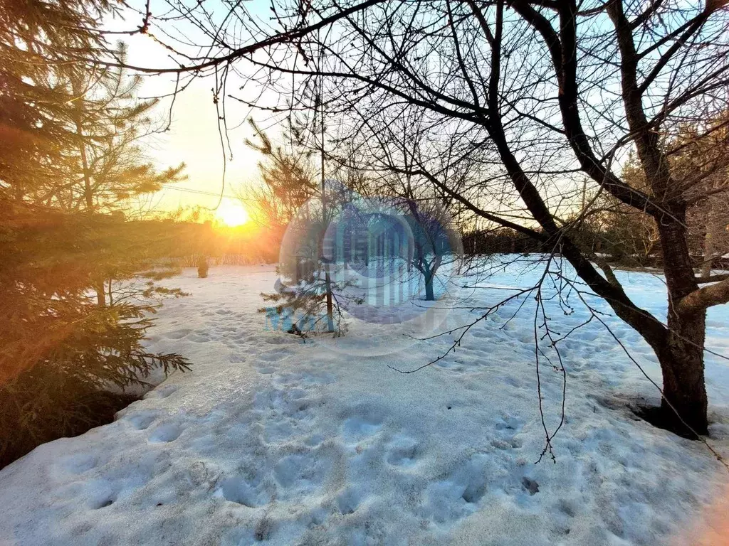 Участок в Московская область, Домодедово городской округ, д. Заболотье ... - Фото 0