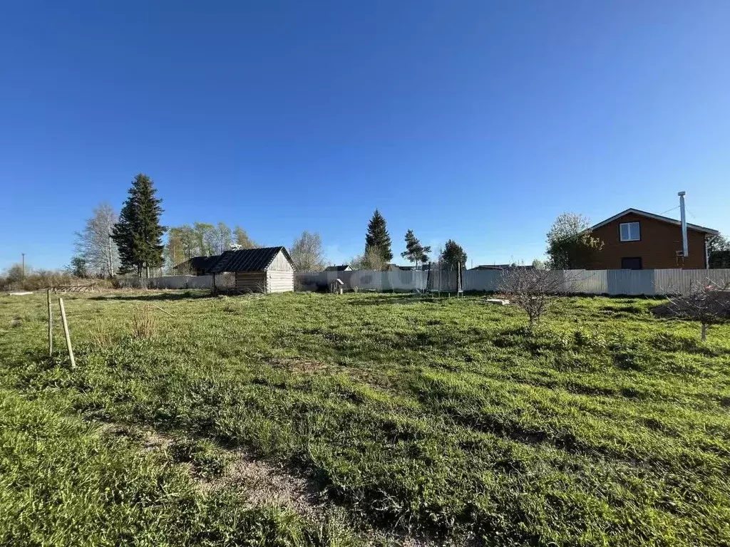 Участок в Вологодская область, д. Стризнево (Старосельский сельсовет) ... - Фото 1