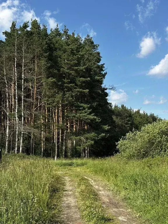 Участок, 8 сот., поселения (ижс) - Фото 1