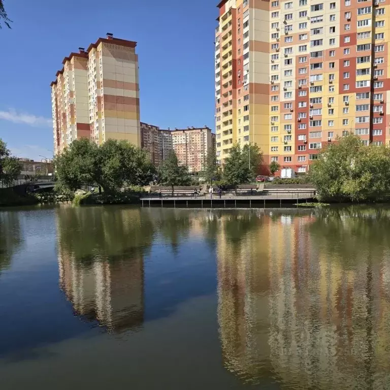 Студия Московская область, Люберцы городской округ, д. Островцы ул. ... - Фото 1