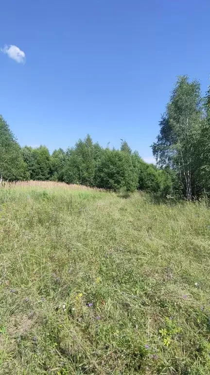 Участок в Калужская область, Совхоз Боровский с/пос, д. Николаевка  ... - Фото 0