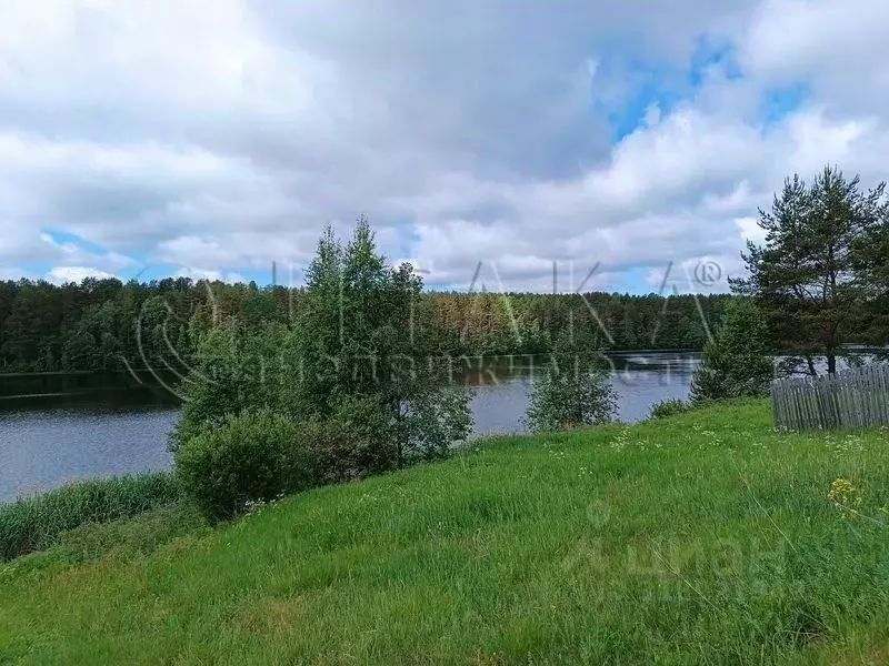Дом в Ленинградская область, Лодейнопольский район, Янегское с/пос, ... - Фото 1