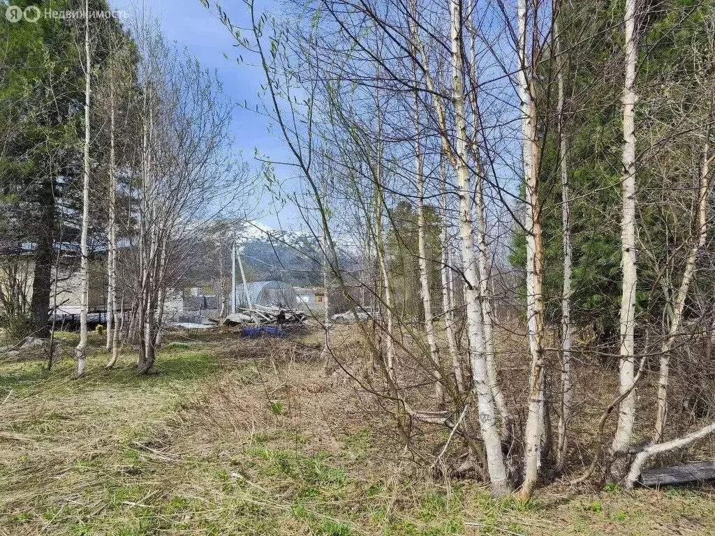 Участок в посёлок городского типа Шерегеш, СНТ Шерегешевец, 2-я Дачная ... - Фото 0