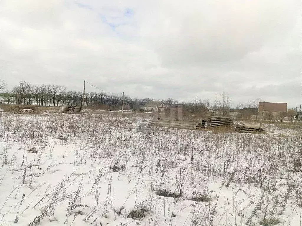 Участок в Белгородская область, Новый Оскол ул. Абрикосовая, 20 (15.0 ... - Фото 1