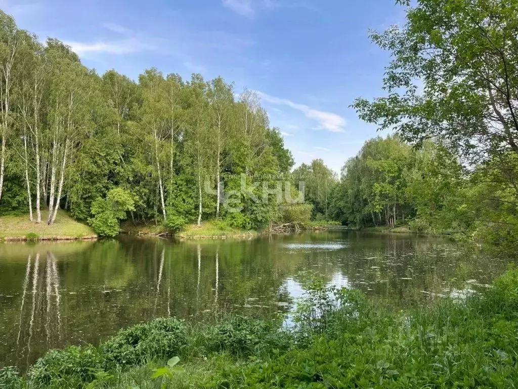 Участок в Нижегородская область, Воротынский муниципальный округ, ... - Фото 1