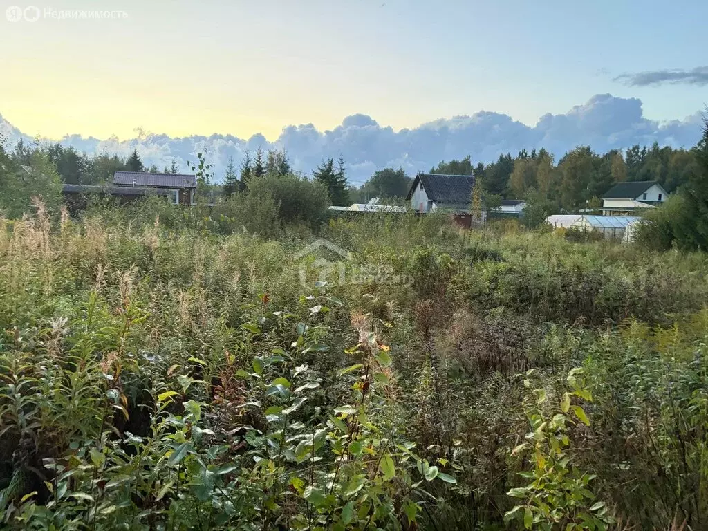 Участок в Кировский район, Отрадненское городское поселение, СНТ ... - Фото 2