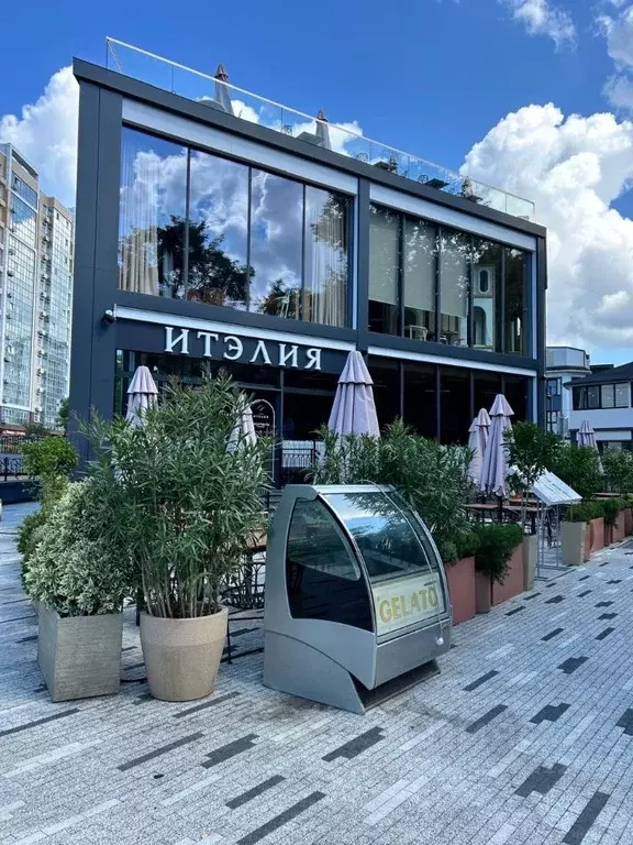 Студия Краснодарский край, Сочи Мамайка мкр, ул. Волжская, 81Б (38.0 ... - Фото 2