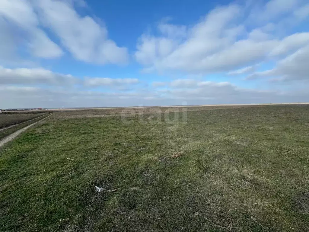 Участок в Крым, Черноморский район, с. Окуневка  (100.0 сот.) - Фото 0
