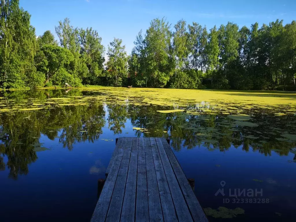 Дом, 50 м - Фото 1