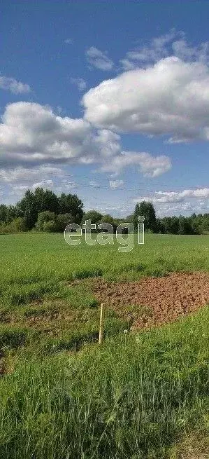 Участок в Вологодская область, пос. Непотягово, д. Кудрино ул. ... - Фото 2