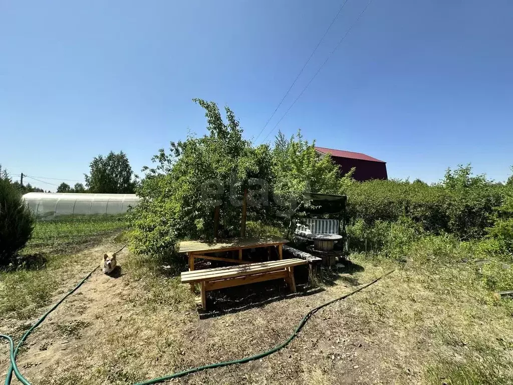 Дом в Курганская область, Кетовский муниципальный округ, Раздолье-4 ... - Фото 1
