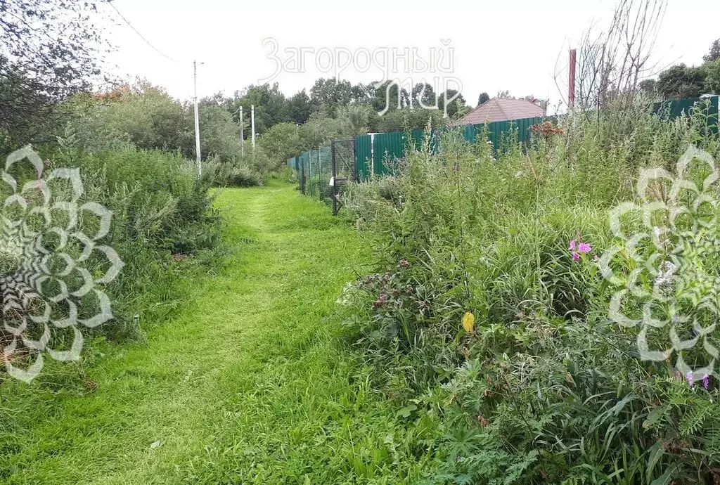 Участок в Московская область, городской округ Химки, деревня Шемякино, ... - Фото 1
