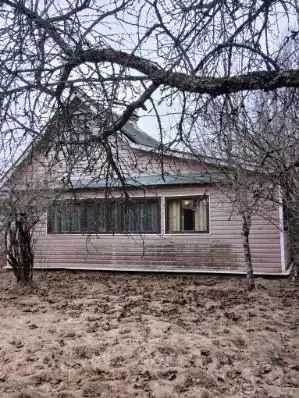 Дом в Ленинградская область, Лужский район, Мшинское с/пос, Мшинская ... - Фото 1