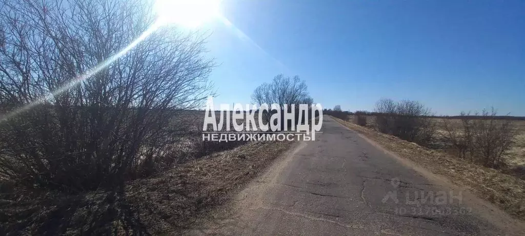 Участок в Новгородская область, Старорусский район, Наговское с/пос, ... - Фото 0
