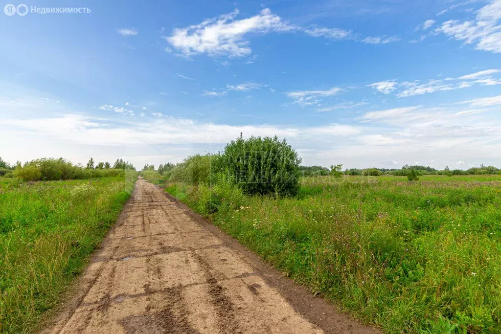 Участок в село Нижняя Тавда, улица Максима Горького (8.02 м) - Фото 0