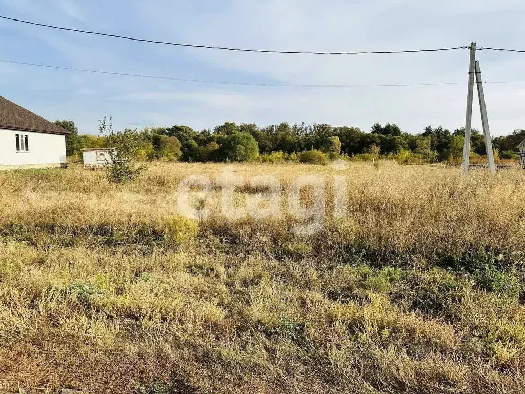 Участок в Белгородская область, Алексеевка Нижняя ул. (15.0 сот.) - Фото 1