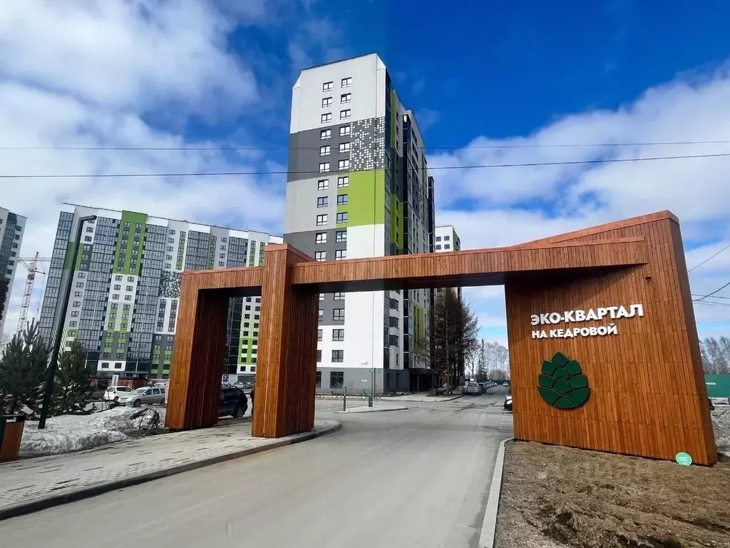 Студия Новосибирская область, Новосибирский район, Мочищенский ... - Фото 2