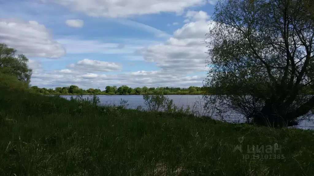 Участок в Новгородская область, Новгородский район, Бронницкое с/пос, ... - Фото 1