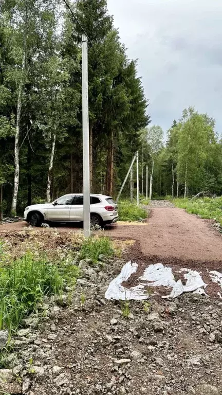 Участок в Ленинградская область, Всеволожск ул. Камышовая, 1 (6.0 ... - Фото 1