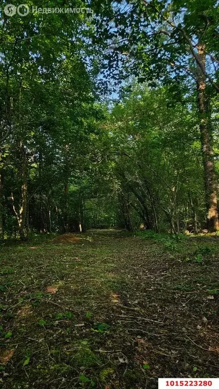 Участок в посёлок Берёзовый, Светлая улица, 28 (10 м) - Фото 2