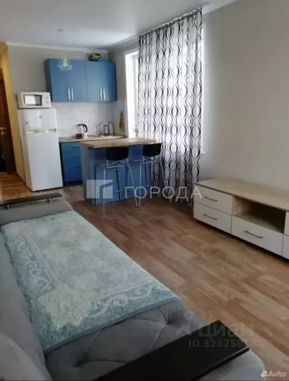 Студия Алтайский край, Барнаул ул. Челюскинцев, 80В (26.4 м) - Фото 1