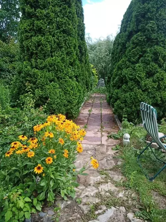 Дом в Саратовская область, Энгельс Лесная ул., 56 (250 м) - Фото 2
