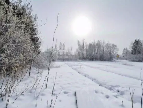 Участок в Ленинградская область, Киришский район, Кусинское с/пос, ... - Фото 2