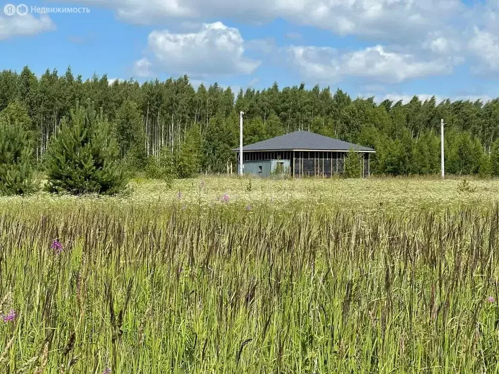 Участок в Ярославский муниципальный округ, деревня Ермолово (10 м) - Фото 0