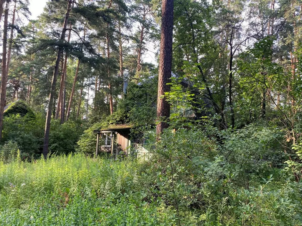 Участок в Раменское, улица Будённого, 7 (24.5 м) - Фото 1