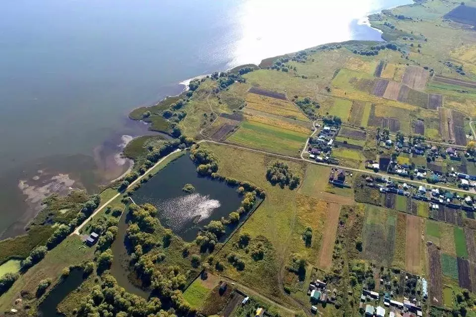 Участок в Пензенская область, Шемышейский район, с. Усть-Уза  (15.0 ... - Фото 1