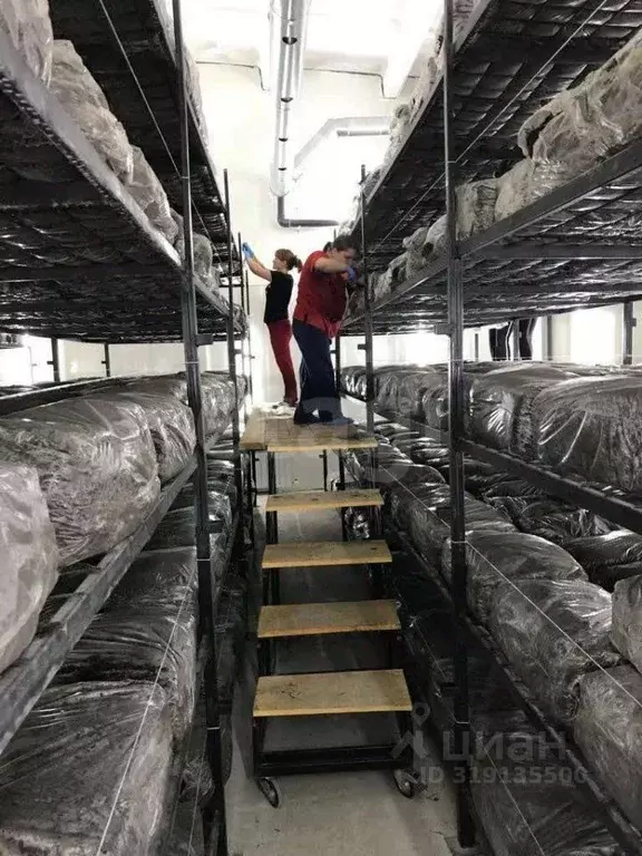 Склад в Курская область, Железногорский район, Разветьевский ... - Фото 1