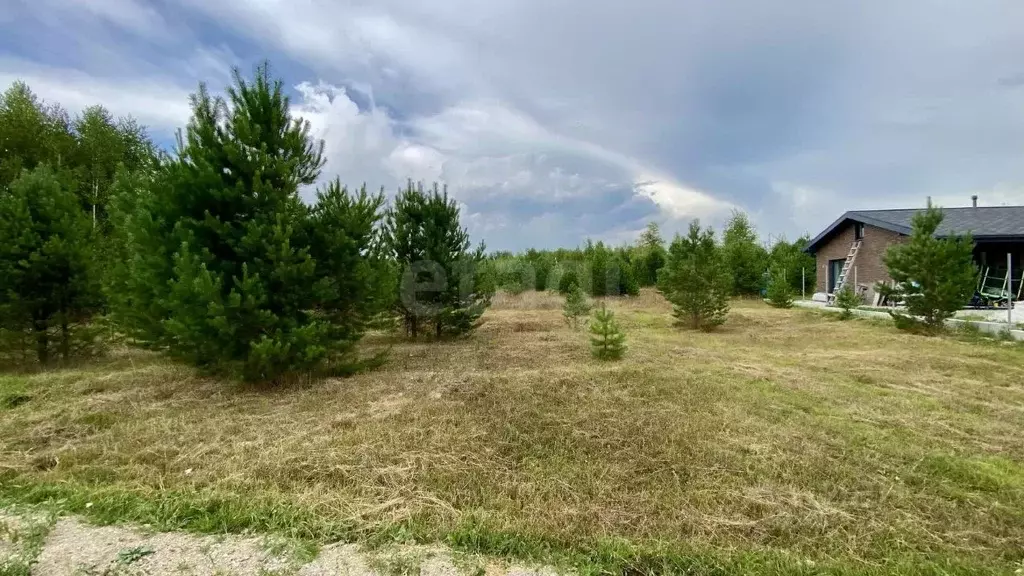 Участок в Новосибирская область, Новосибирский район, Кубовинский ... - Фото 1