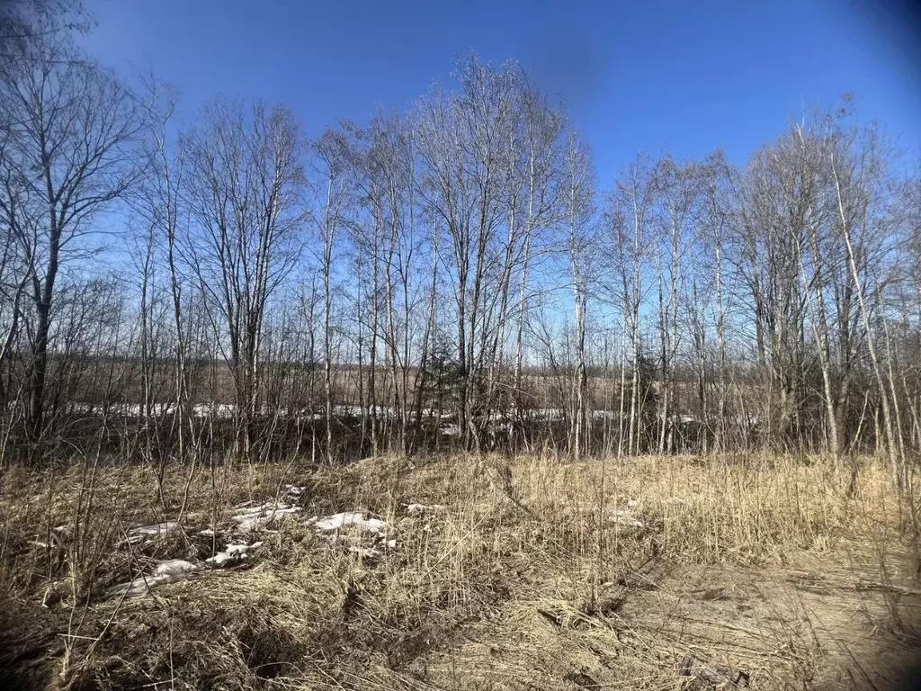 Участок в Новгородская область, Новгородский район, Ермолинское с/пос  ... - Фото 1