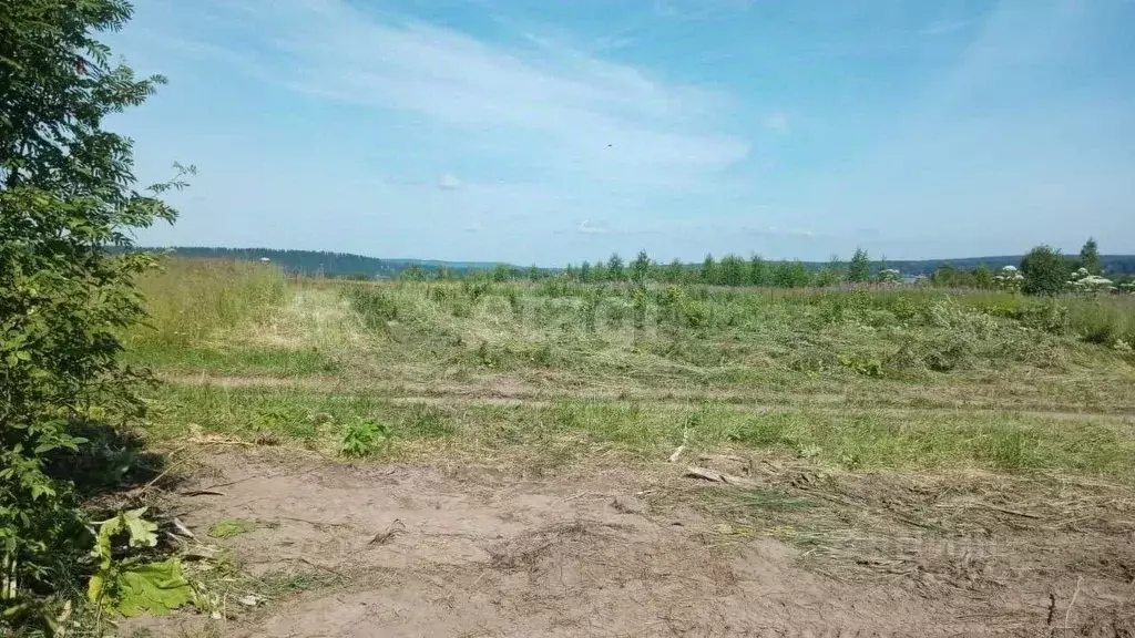 Участок в Пермский край, Пермский муниципальный округ, пос. Сылва ул. ... - Фото 1