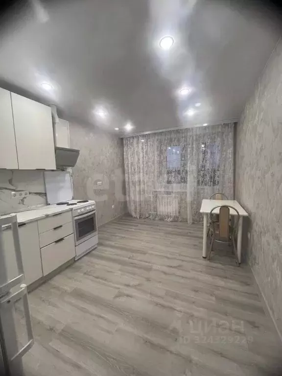 1-к кв. Амурская область, Благовещенский район, с. Чигири ул. ... - Фото 2