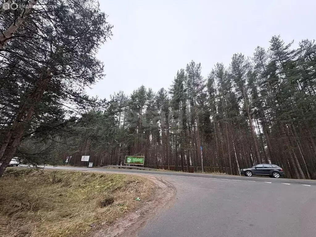 Участок в Ярославский муниципальный округ, деревня Липовицы, Кедровая ... - Фото 2